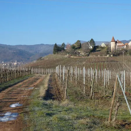 בית נופש La Maison Du Bonheur זלנברג